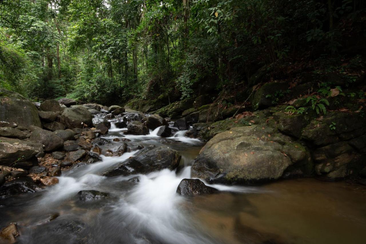 Moksha At Kitulgala - Rainforest Boutique Hotel 외부 사진